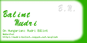balint mudri business card